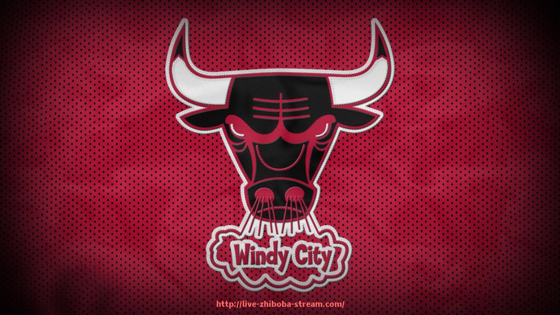 直播吧-女性健身器材有哪些的详细介绍与使用建议