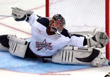 直播吧-最新公布的德甲球队排名名单及排名变化分析